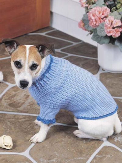 Canine Comfort Dog Sweater