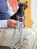 Chain-Stitch Dog Leash